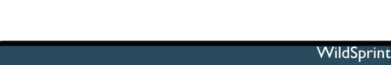WildSprint.com